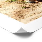 Braunbär Poster (Ecke)