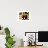 Braunbär Poster (Heimbüro)