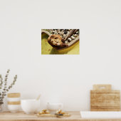 Braunbär Poster (Küche)
