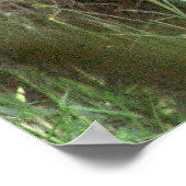 Braunbär Poster (Ecke)