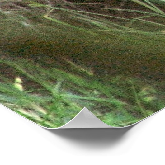 Braunbär Poster (Ecke)