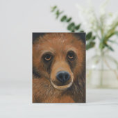 Braunbär Postkarte (Stehend Vorderseite)