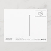 Braunbär Postkarte (Rückseite)