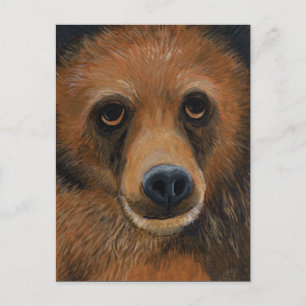 Braunbär Postkarte