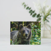Braunbär Postkarte (Stehend Vorderseite)