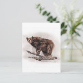 Braunbär Postkarte (Stehend Vorderseite)
