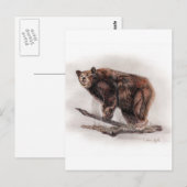 Braunbär Postkarte (Vorne/Hinten)