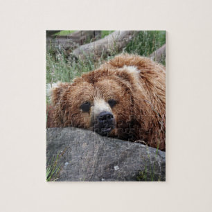 Braunbär Puzzle