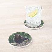 Braunbär Sandstein Untersetzer (Seite)