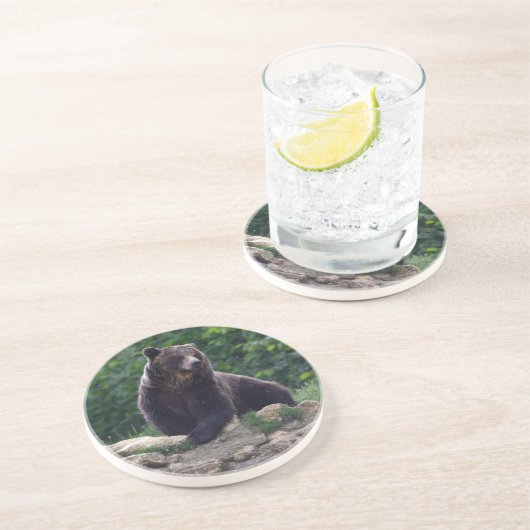 Braunbär Sandstein Untersetzer (Seite)