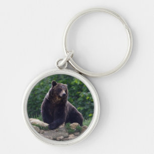 Braunbär Schlüsselanhänger