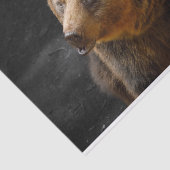 Braunbär Seidenpapier (Ausschnitt)