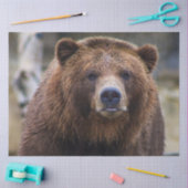 Braunbär Seidenpapier (Basteln)