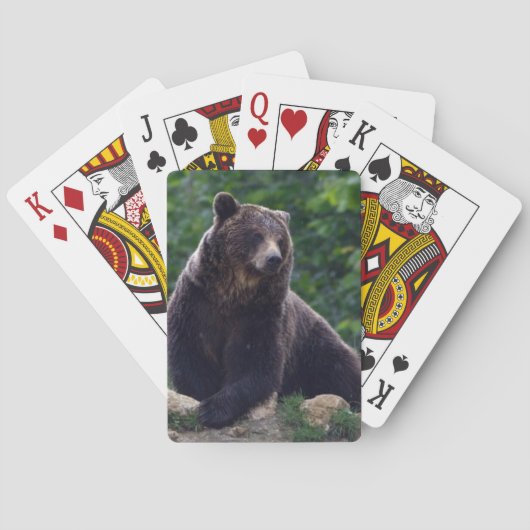 Braunbär Spielkarten (Rückseite)
