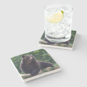 Braunbär Steinuntersetzer (Seitenansicht)