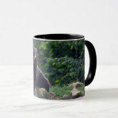 Braunbär Tasse (VorderseiteRechts)
