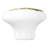 Braunbär und Cub Wildlife Tierart Kunst Keramikknauf (Seitenansicht)