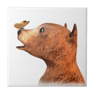 Braunbär und Schmetterling Fliese