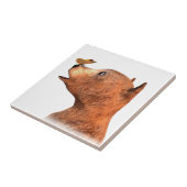 Braunbär und Schmetterling Fliese (Seite)