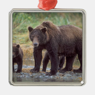 Braunbär, Ursus arctos, Grizzlybär, Ursus 3 Silbernes Ornament