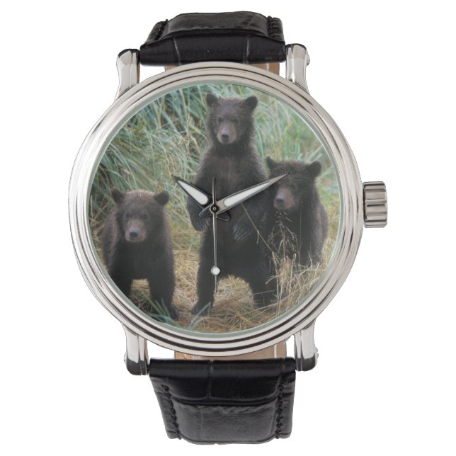 Braunbär, Ursus arctos, Grizzlybär, Ursus 7 2 Armbanduhr (Vorderseite)
