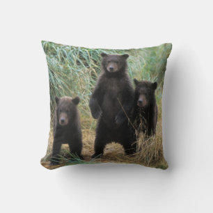 Braunbär, Ursus arctos, Grizzlybär, Ursus 7 2 Kissen