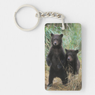 Braunbär, Ursus arctos, Grizzlybär, Ursus 7 2 Schlüsselanhänger