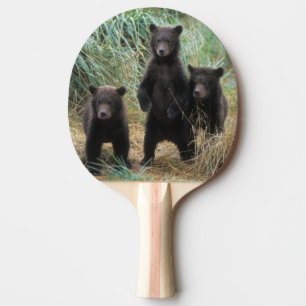 Braunbär, Ursus arctos, Grizzlybär, Ursus 7 2 Tischtennis Schläger