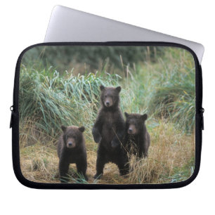 Braunbär, Ursus arctos, Grizzlybär, Ursus 7 Laptopschutzhülle