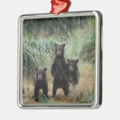Braunbär, Ursus arctos, Grizzlybär, Ursus 7 Silbernes Ornament (Links)
