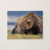 Braunbär, Ursus arctos, Grizzlybär, Ursus 8 Puzzle (Horizontal)