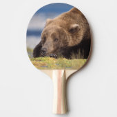 Braunbär, Ursus arctos, Grizzlybär, Ursus 8 Tischtennis Schläger