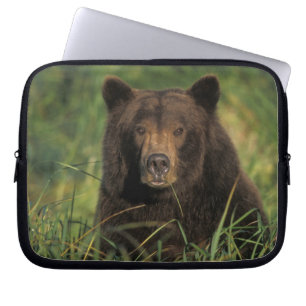 Braunbär, Ursus arctos, Grizzlybär, Ursus 9 Laptopschutzhülle