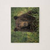 Braunbär, Ursus arctos, Grizzlybär, Ursus 9 Puzzle (Vertikal)