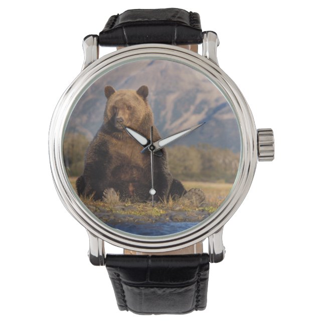 Braunbär, Ursus arctos, Grizzlybär, Ursus Armbanduhr (Vorderseite)