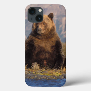 Braunbär, Ursus arctos, Grizzlybär, Ursus Case-Mate iPhone Hülle