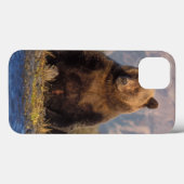 Braunbär, Ursus arctos, Grizzlybär, Ursus Case-Mate iPhone Hülle (Rückseite (Horizontal))