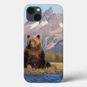 Braunbär, Ursus arctos, Grizzlybär, Ursus Case-Mate iPhone Hülle