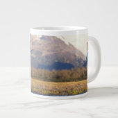 Braunbär, Ursus arctos, Grizzlybär, Ursus Jumbo-Tasse (Vorderseite Rechts)