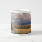 Braunbär, Ursus arctos, Grizzlybär, Ursus Jumbo-Tasse (Vorderseite)