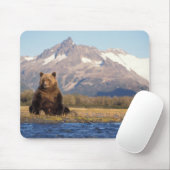 Braunbär, Ursus arctos, Grizzlybär, Ursus Mousepad (Mit Mouse)