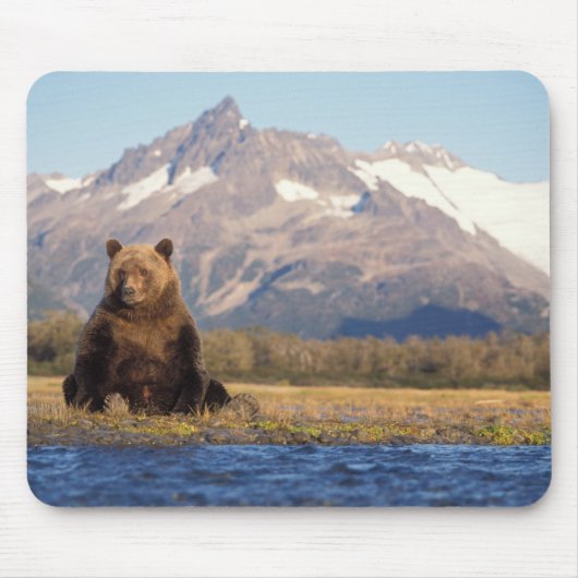 Braunbär, Ursus arctos, Grizzlybär, Ursus Mousepad (Vorne)