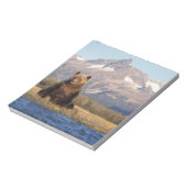 Braunbär, Ursus arctos, Grizzlybär, Ursus Notizblock (Rotiert)