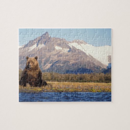 Braunbär, Ursus arctos, Grizzlybär, Ursus Puzzle (Horizontal)