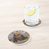 Braunbär, Ursus arctos, Grizzlybär, Ursus Sandstein Untersetzer (Seite)