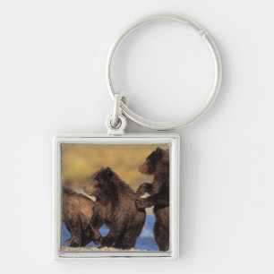 Braunbär, Ursus arctos, Grizzlybär, Ursus Schlüsselanhänger