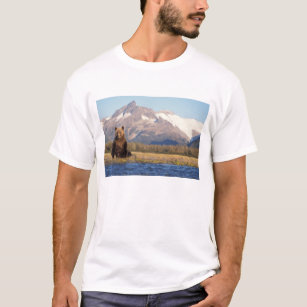 Braunbär, Ursus arctos, Grizzlybär, Ursus T-Shirt
