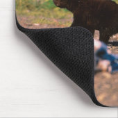 Braunbär, Ursus arctos, Halbinsel Alaska, Mousepad (Ecke)