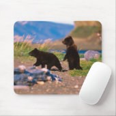 Braunbär, Ursus arctos, Halbinsel Alaska, Mousepad (Mit Mouse)