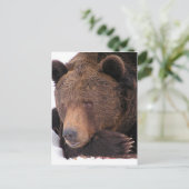 Braunbär Winter Postkarte (Stehend Vorderseite)